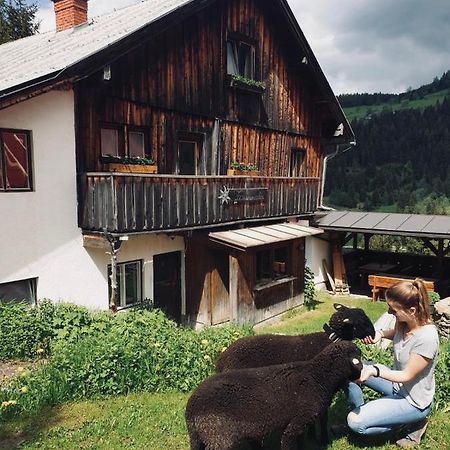 Zauneralm Aich  Zewnętrze zdjęcie