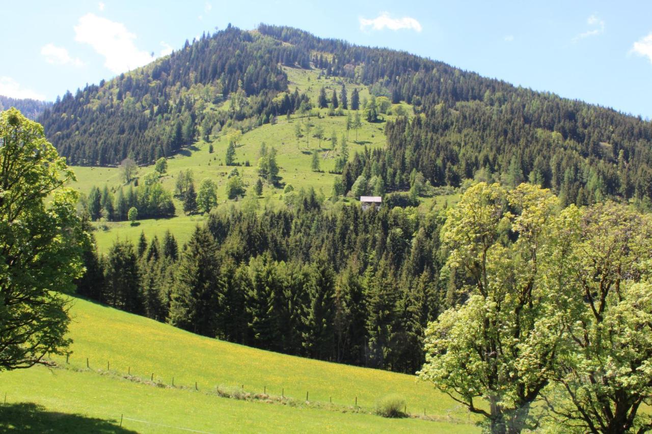 Zauneralm Aich  Zewnętrze zdjęcie