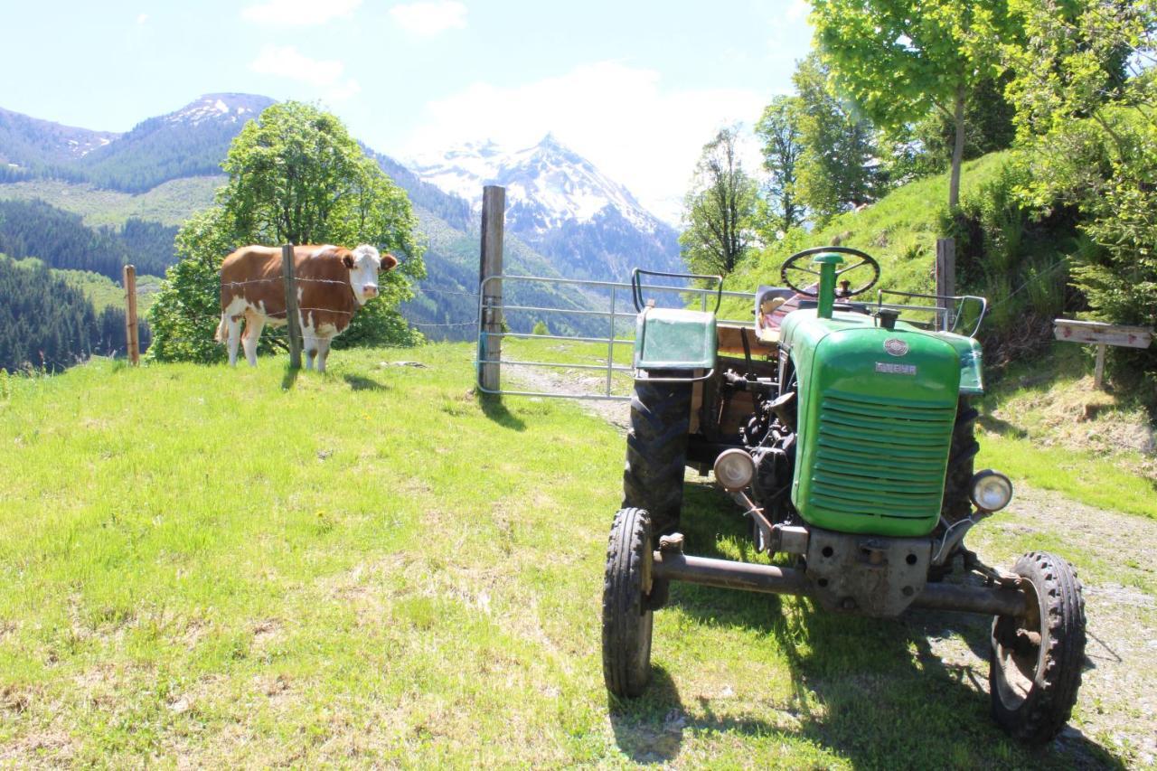 Zauneralm Aich  Zewnętrze zdjęcie
