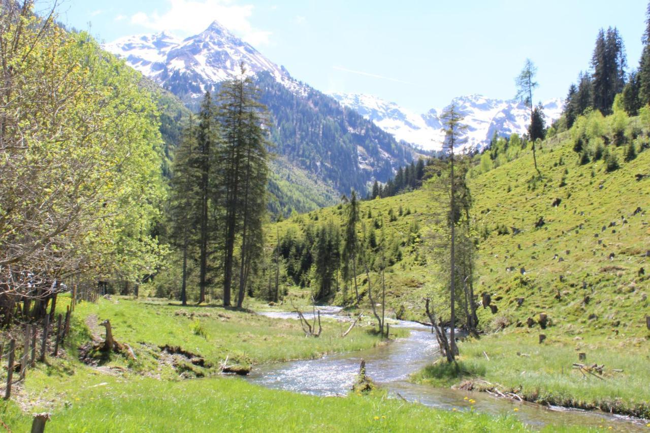 Zauneralm Aich  Zewnętrze zdjęcie