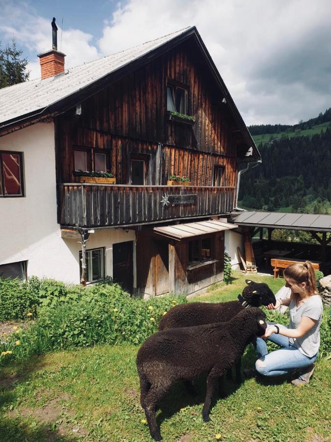 Zauneralm Aich  Zewnętrze zdjęcie